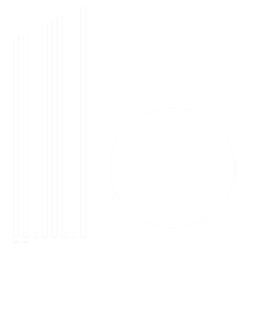 Birmat Consulting